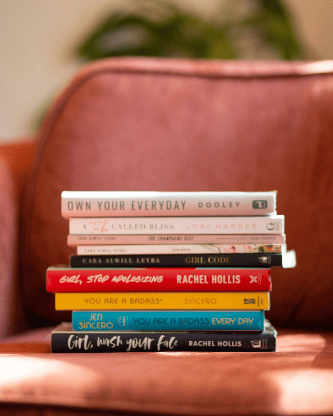 Book Haul icon
